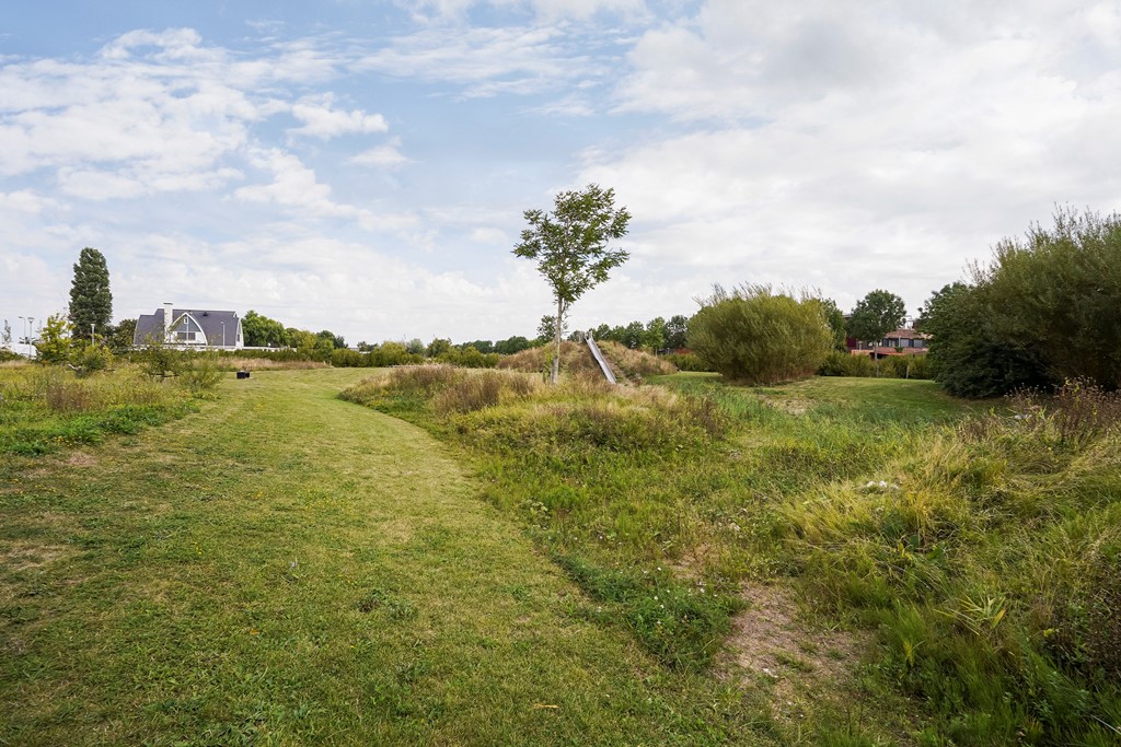 Stepelerveld 83_60.jpg